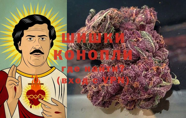 PSILOCYBIN Медногорск
