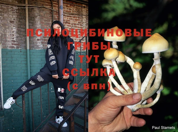 спиды Мегион